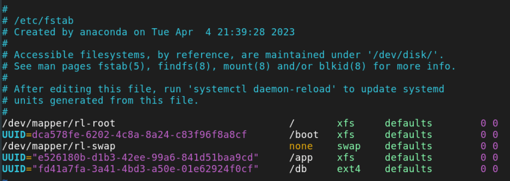 Both New Disks Added to /etc/fstab